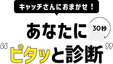 あなたに30秒ピタッと診断